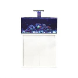D-D Reef Pro 900 Gloss White