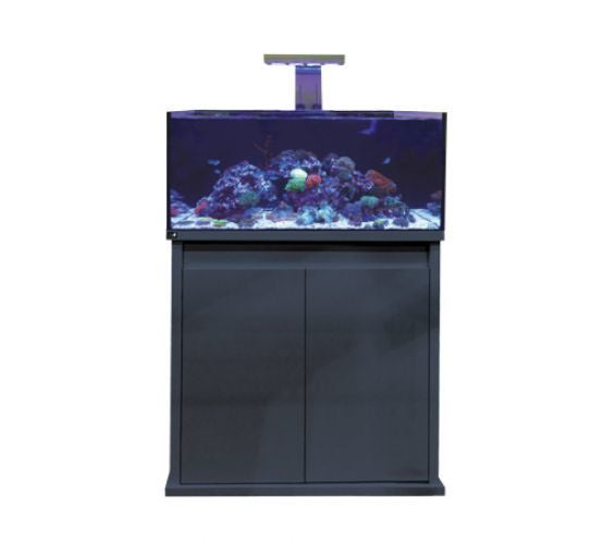 D-D Reef Pro 900 Gloss Anthracite