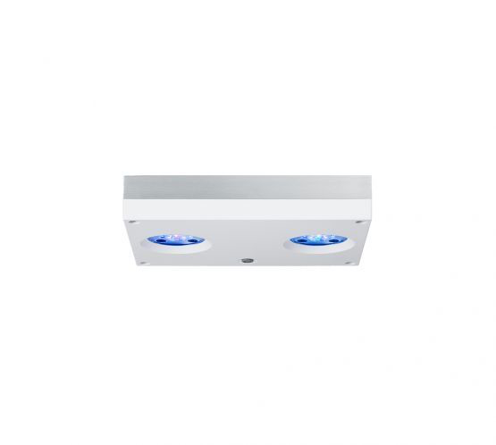 Hydra 32 Hd White